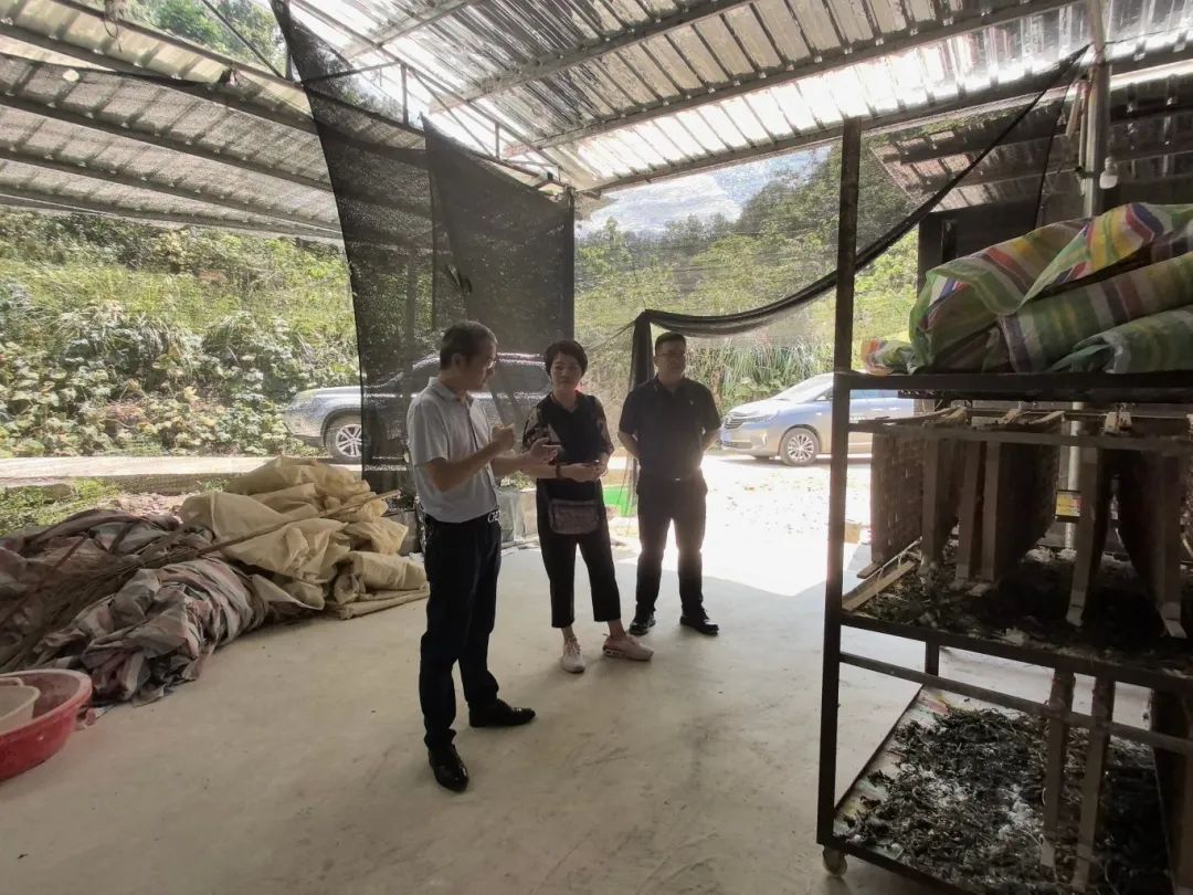 2acec3a4-add3-467c-9fd3-7ce8f8ab4113 2acec3a4-add3-467c-9fd3-7ce8f8ab4113