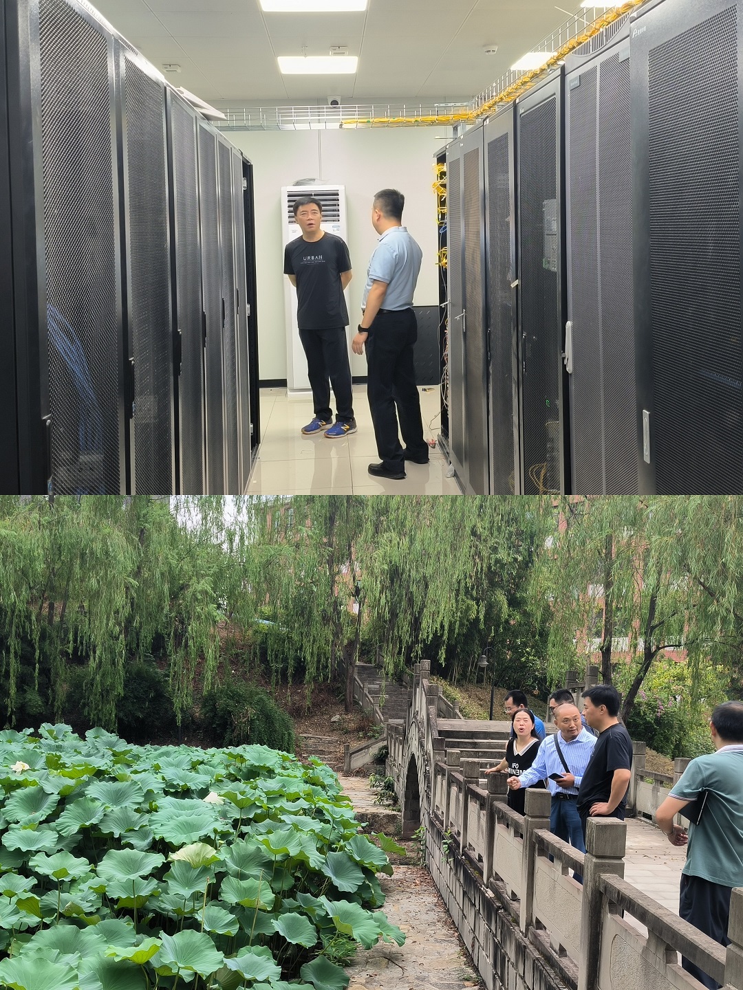 1662116424782 1662116424782